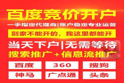案例解析：SEM竞价优化助力企业实现业绩增长